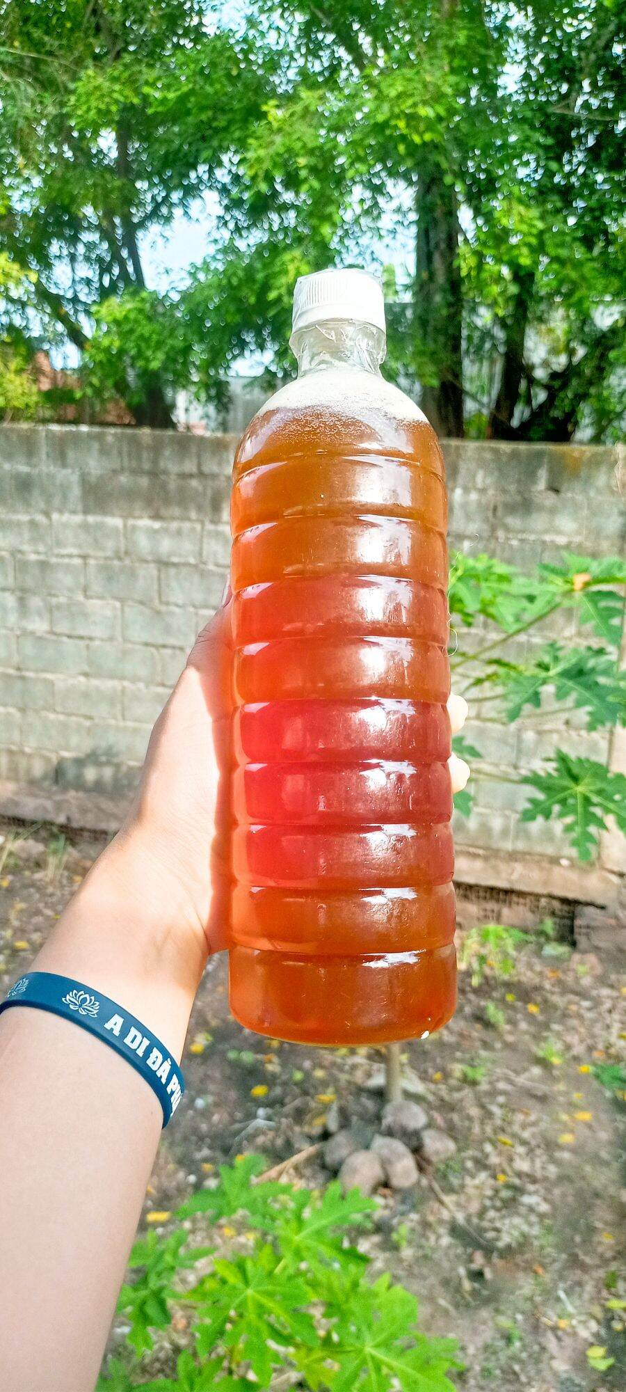Mật ong Hoa Cà Phê Nguyên chất.