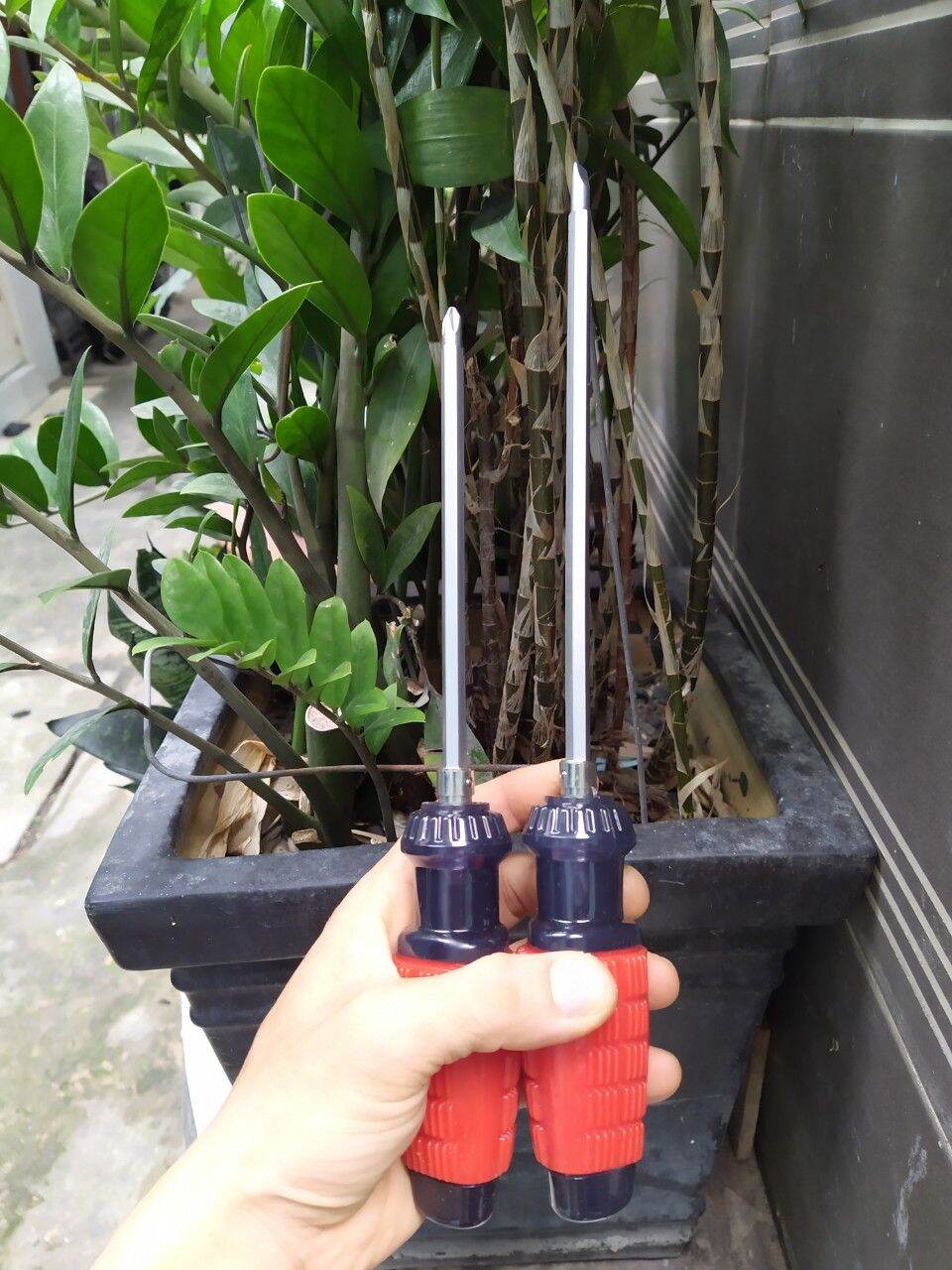 Tô vít 2 đầu 6mm
