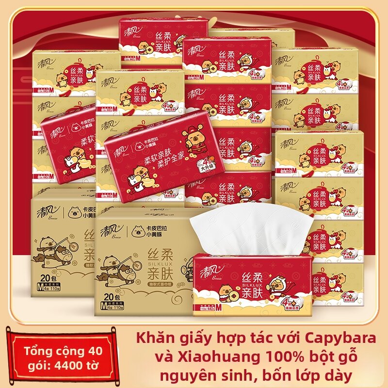 Household Drawn Tissue 110 draws 20 packs - 4