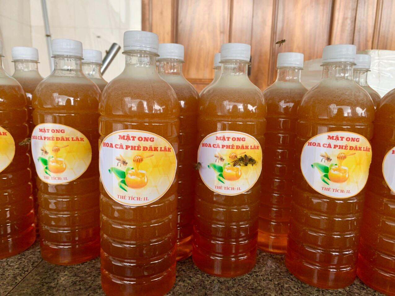 Mật ong hoa cà phê