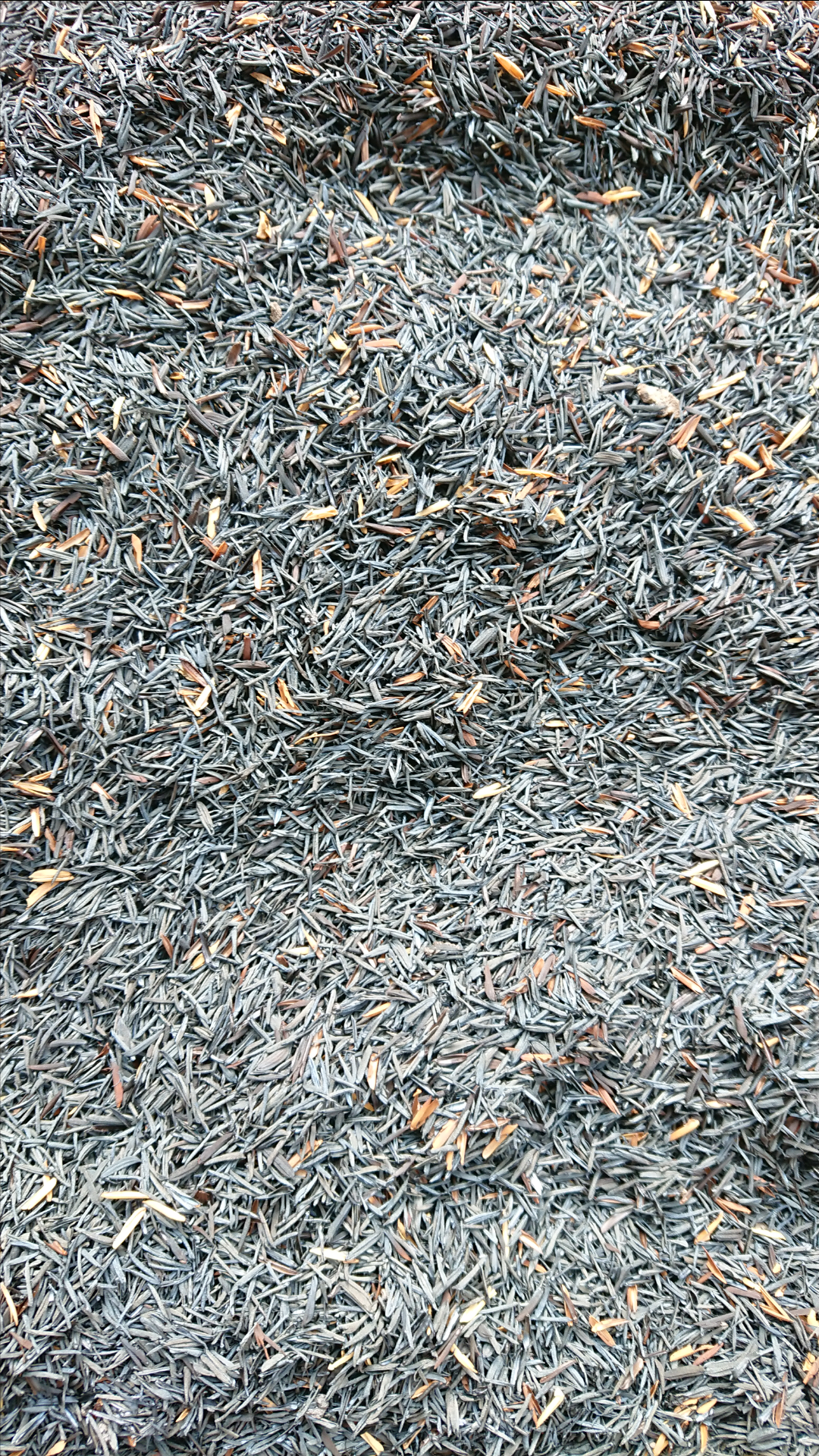Trấu hun nguyen hạt: 0.5kg