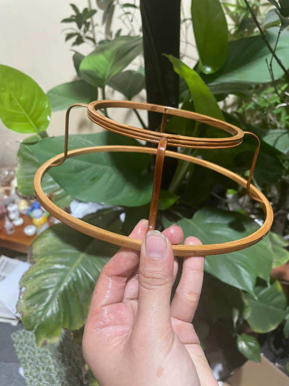 Cầu dế đẹp cho lồng khuyên