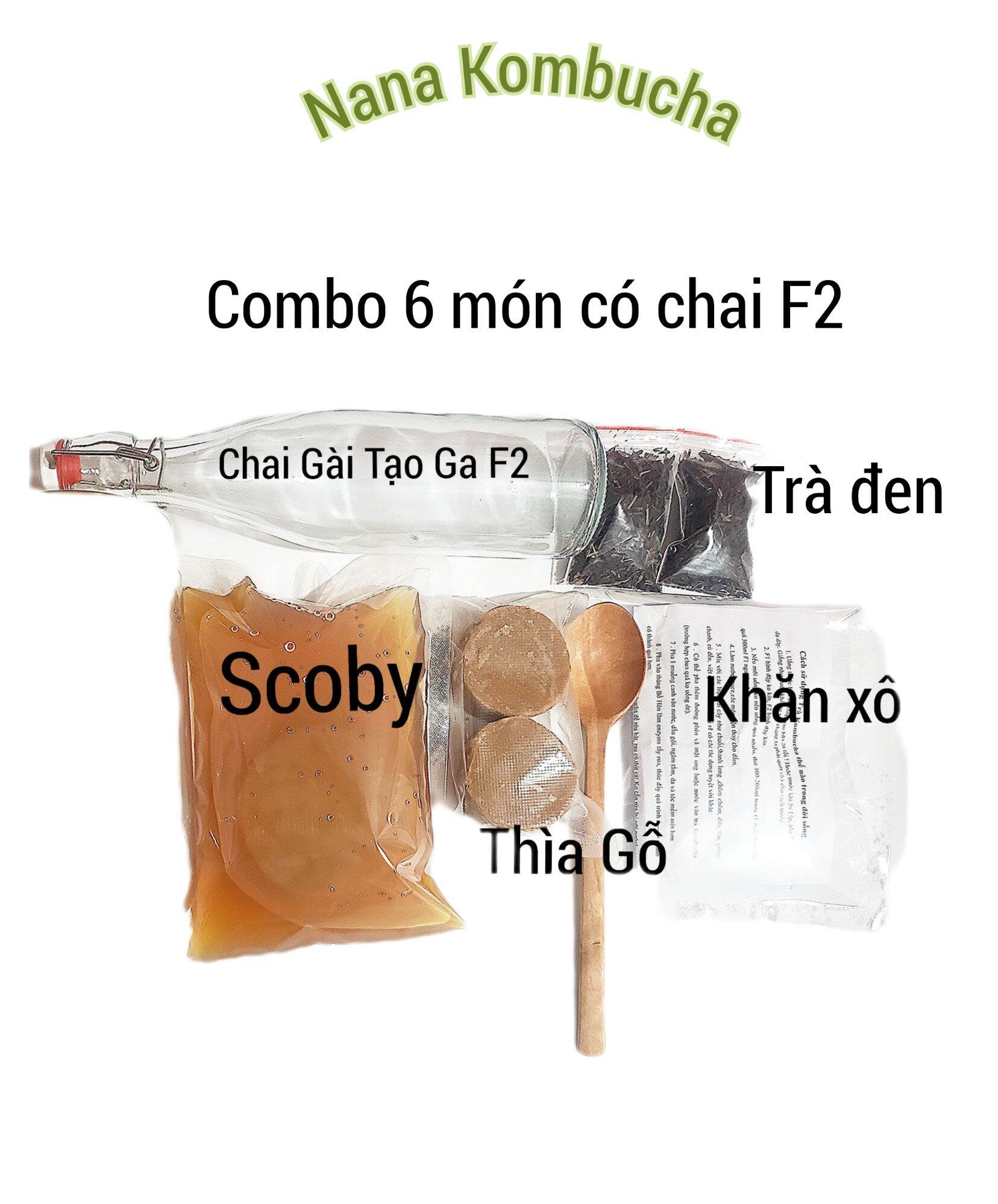 ComBo SCOBY/ KOMBUCHA Đầy Đủ Làm Trà Kombucha