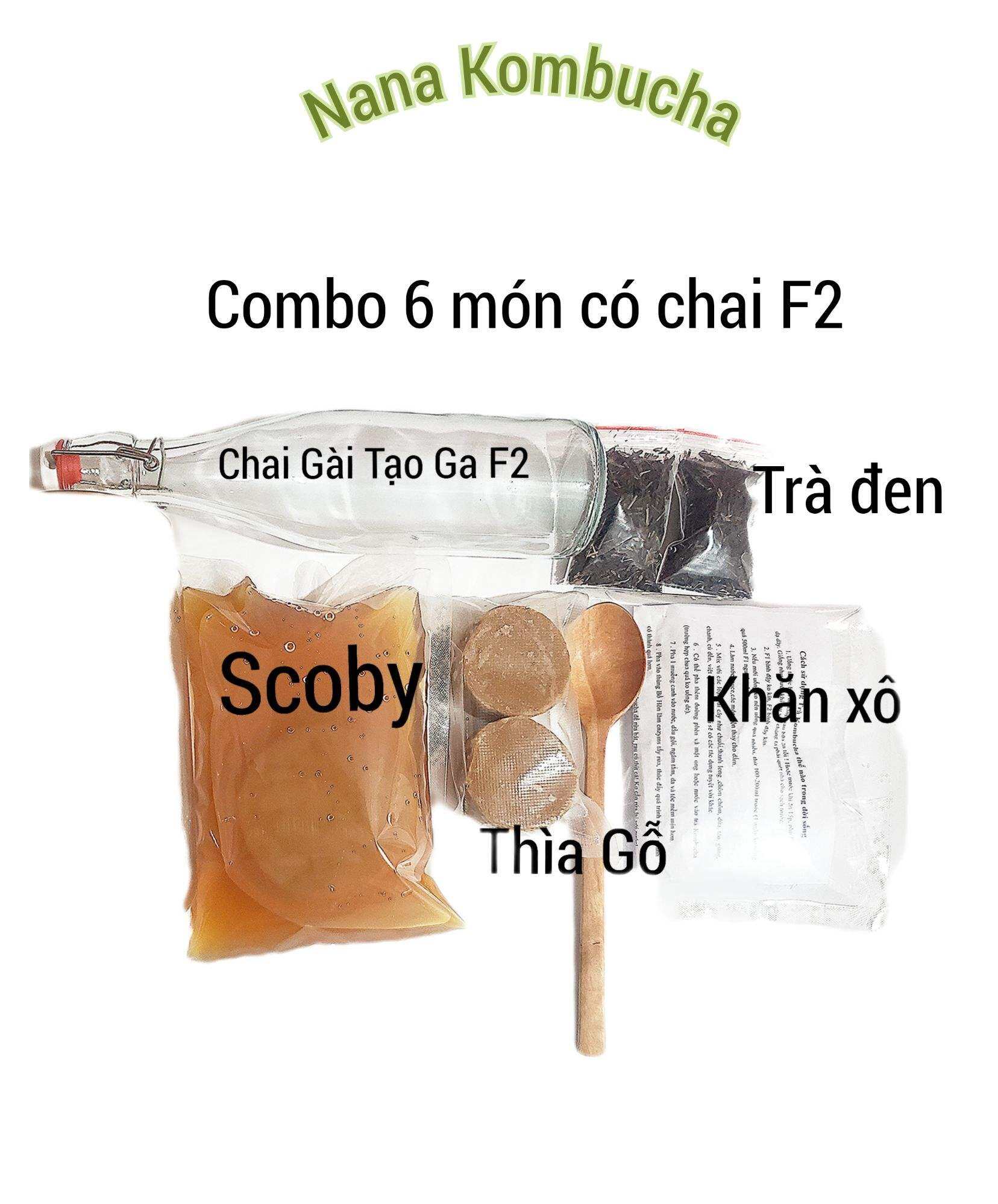 ComBo SCOBY/ KOMBUCHA Đầy Đủ Làm Trà Kombucha