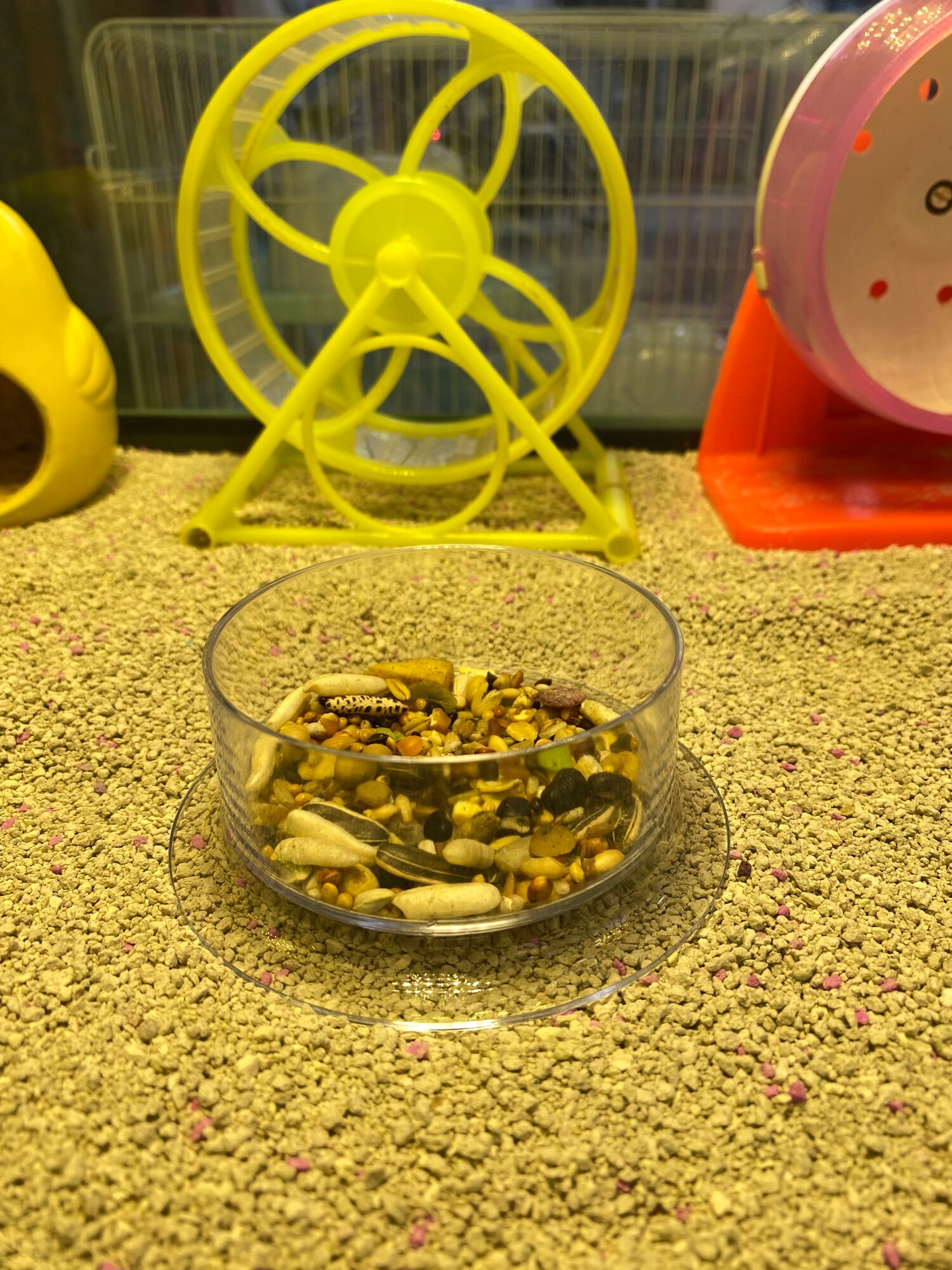 Chén ăn Pha Lê cho thú cưng nhỏ Hamster, Sóc