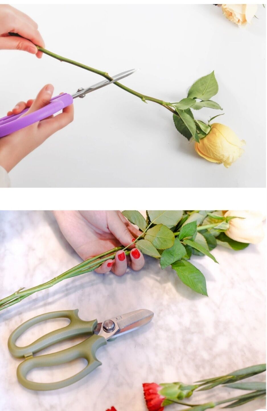 [Nhập RS0822 giảm 30k cho đơn 99k]1 cái kéo cắt cành.