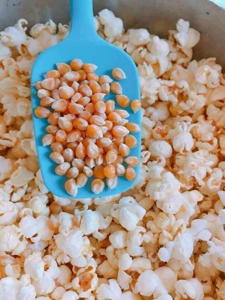 1kg Bắp Mỹ- [Bắp Rang Bơ]