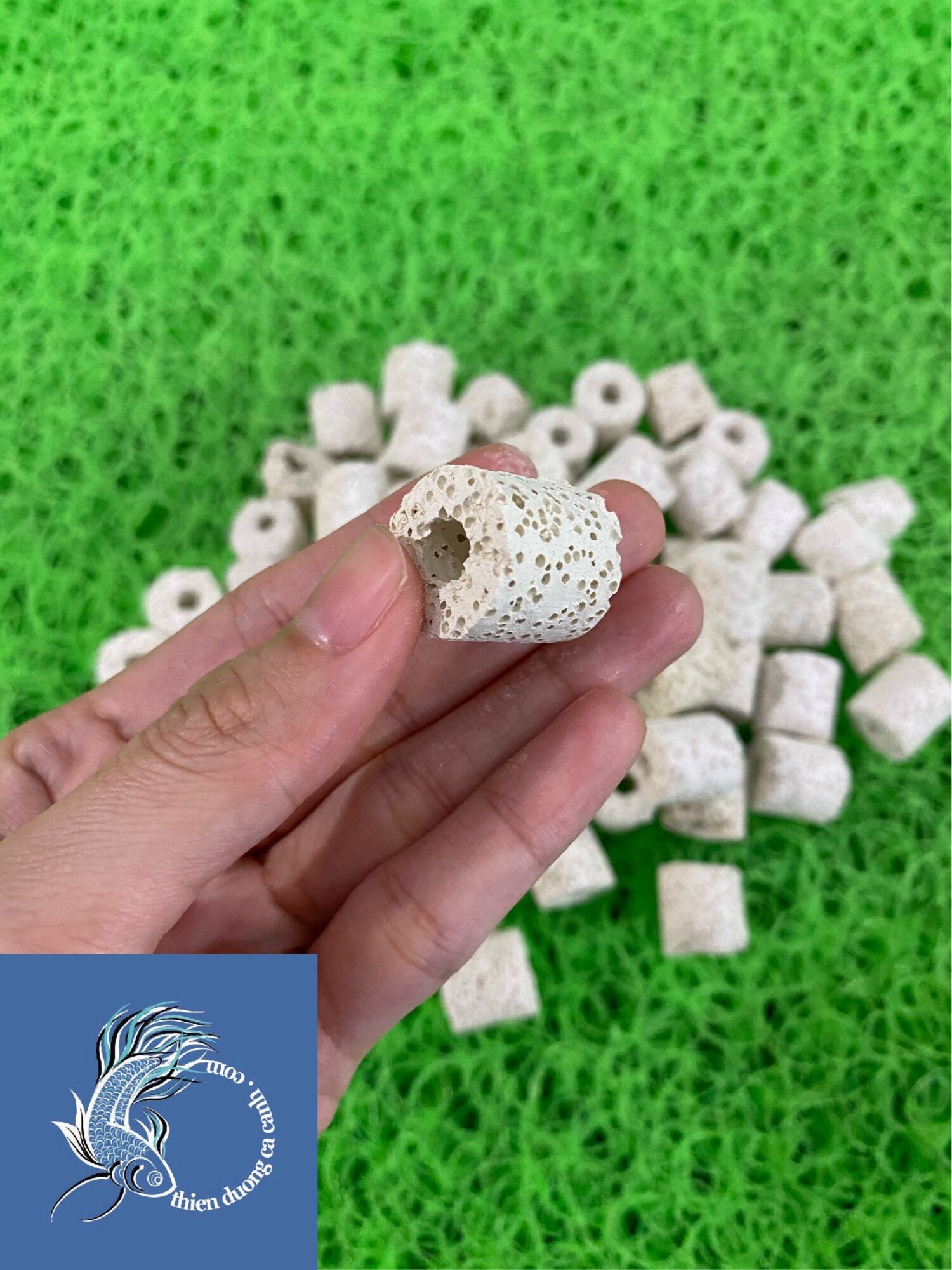 Sứ Lỗ Lọc Nước - Sứ Viên ( Trắng Ngà )
