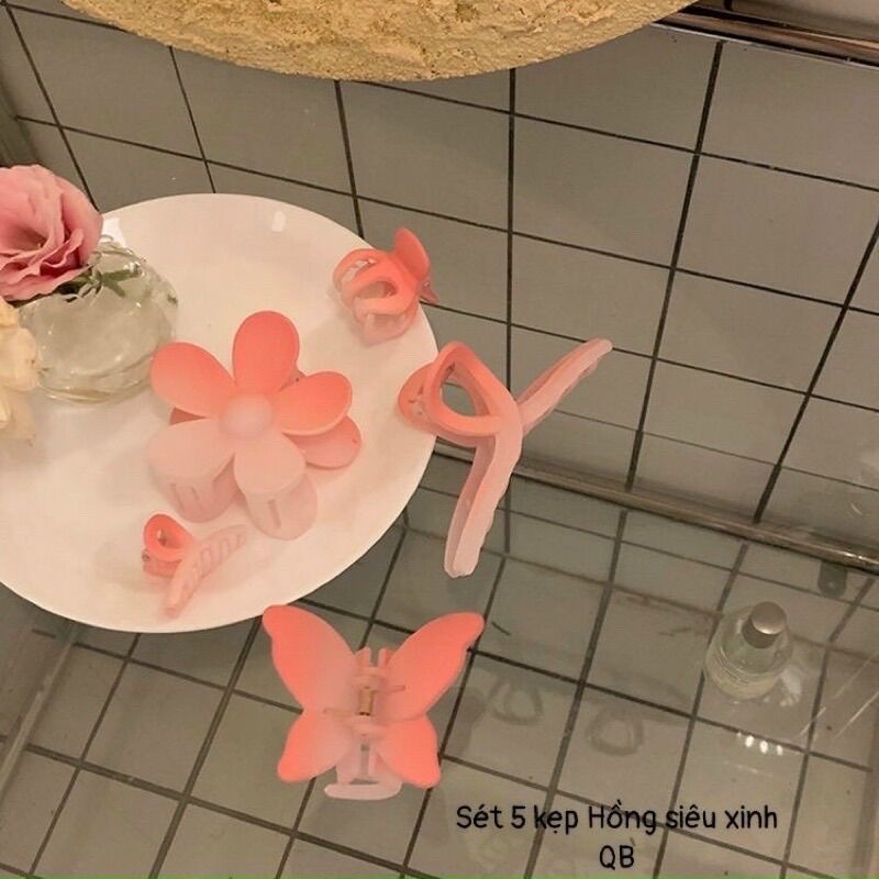 Sét 5 chiếc kẹp tóc màu hồng
