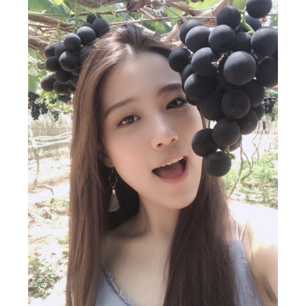 Cây Nho Kyoho Đen