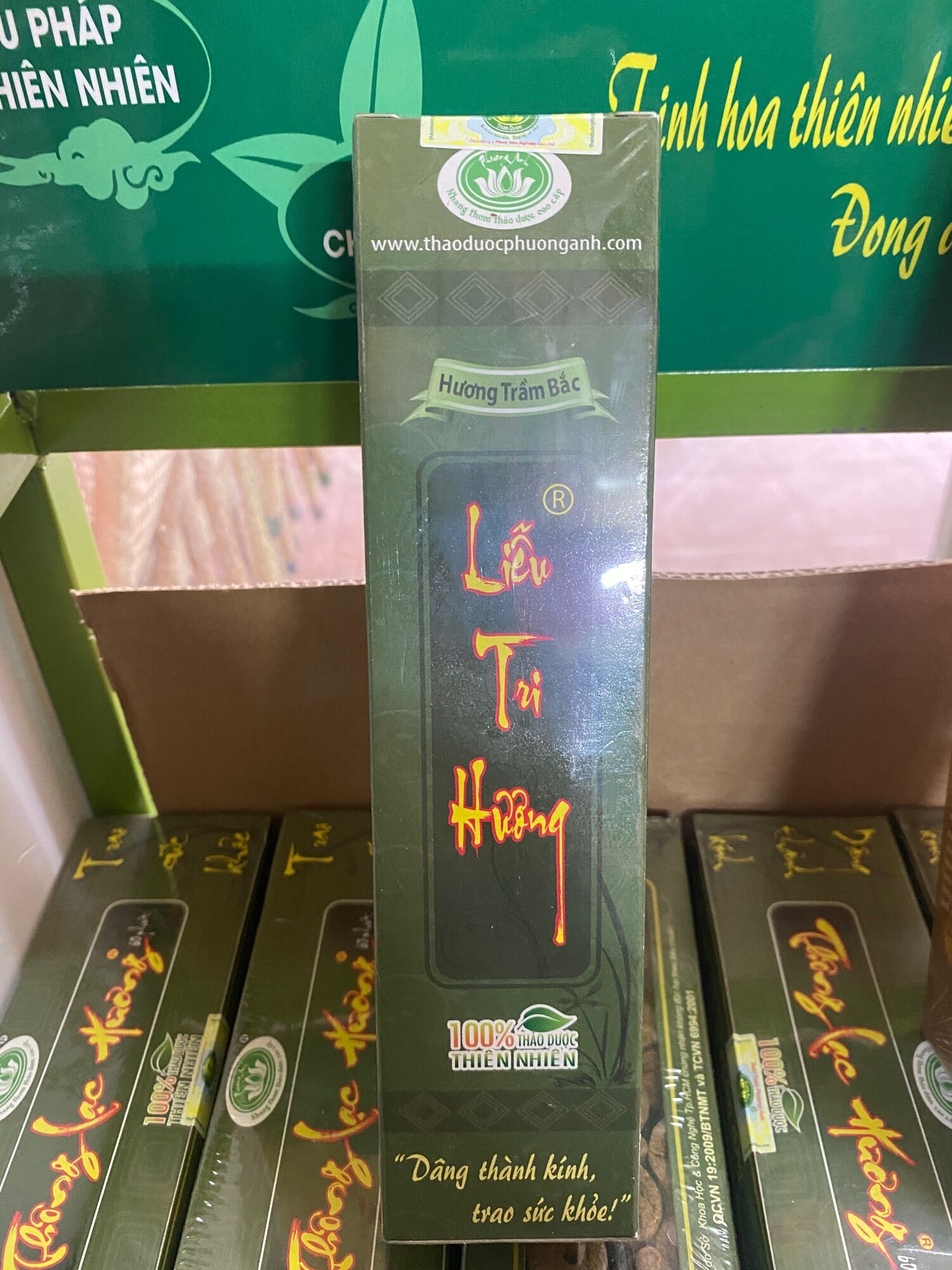 Liễu tri hương 2 tấc hộp 200 cây