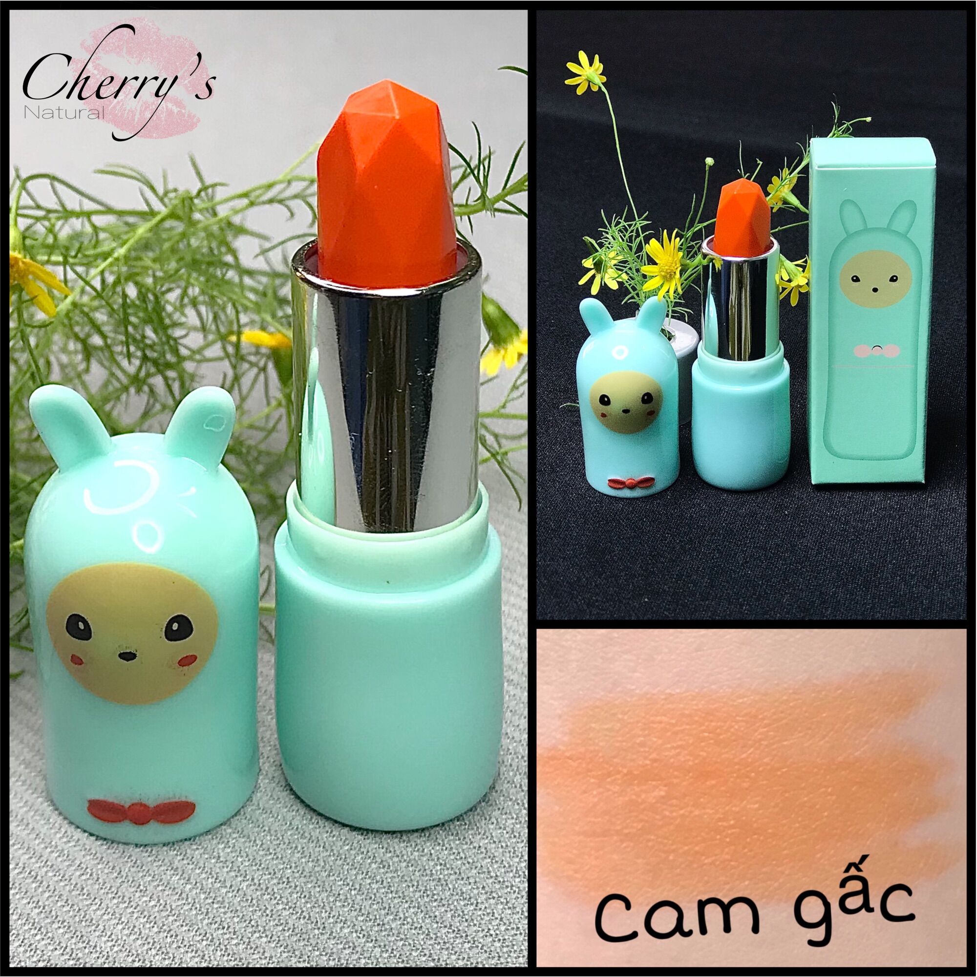 Son Dưỡng Gấc trị thâm môi, chống nứt nẻ.