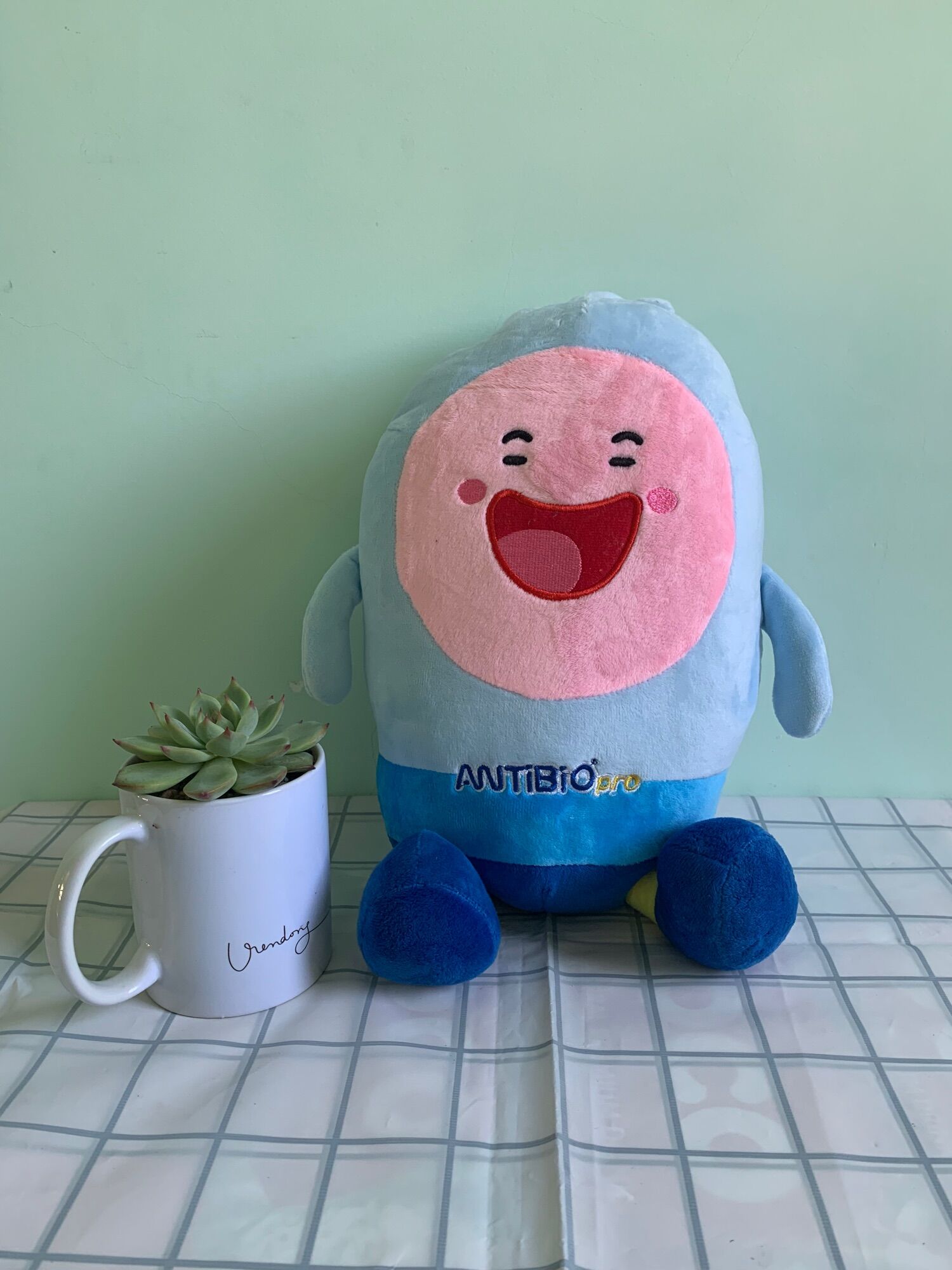 Gấu bông các loại