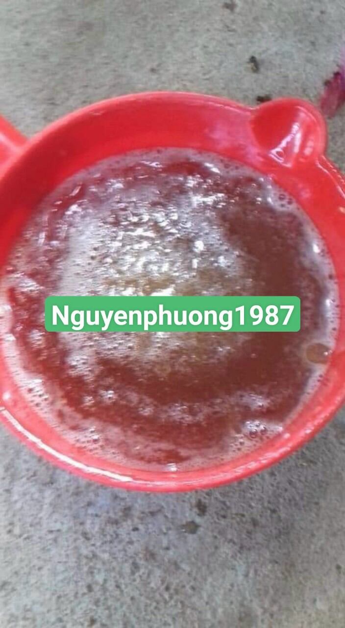 mật ong rừng 450ml (1 chai loại trà xanh như hình)