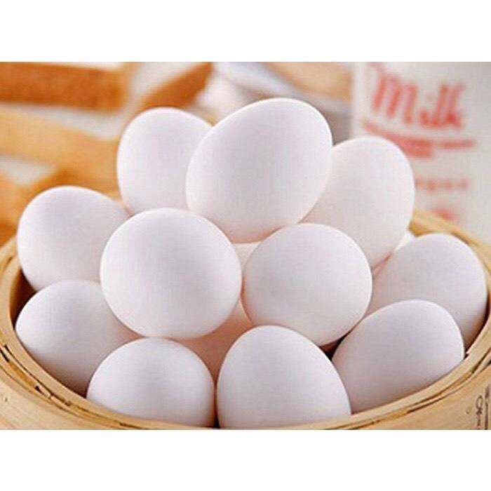 10 trứng vịt lạc trứng to vịt vườn