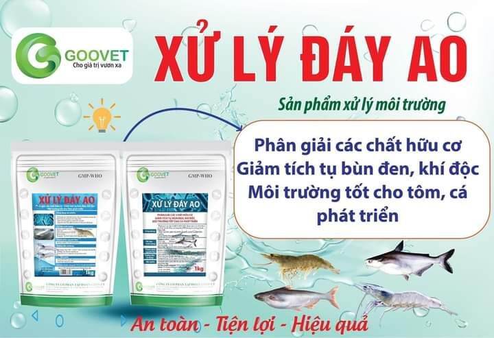 Xử lý đáy ao 1kg không cần ủ