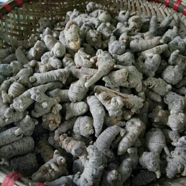 100g củ tam thất