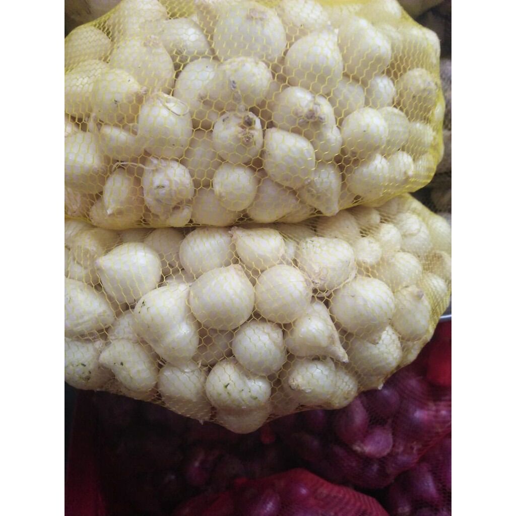 Củ nén quảng nam -túi lưới 500g