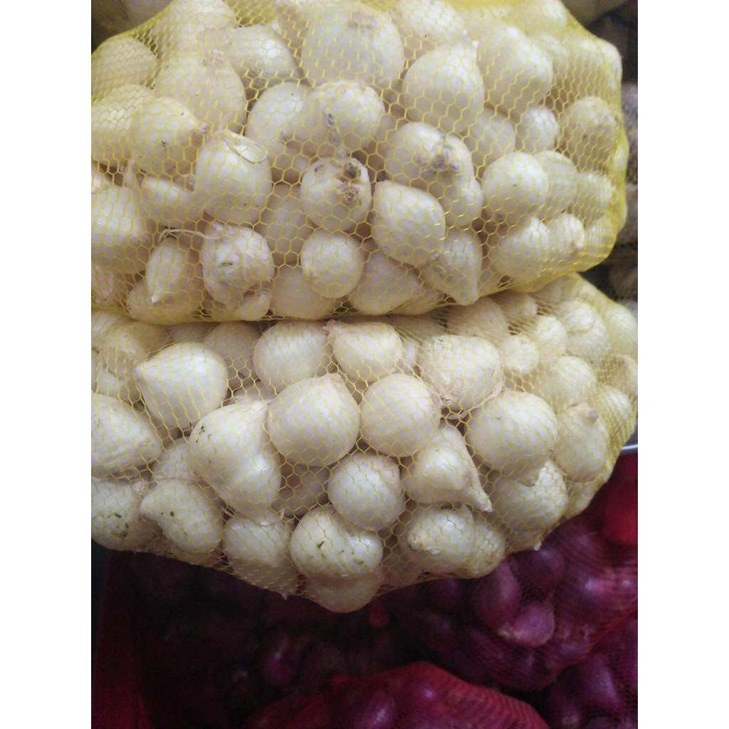 Củ nén ( hành tăm ) quảng nam -túi lưới 500g