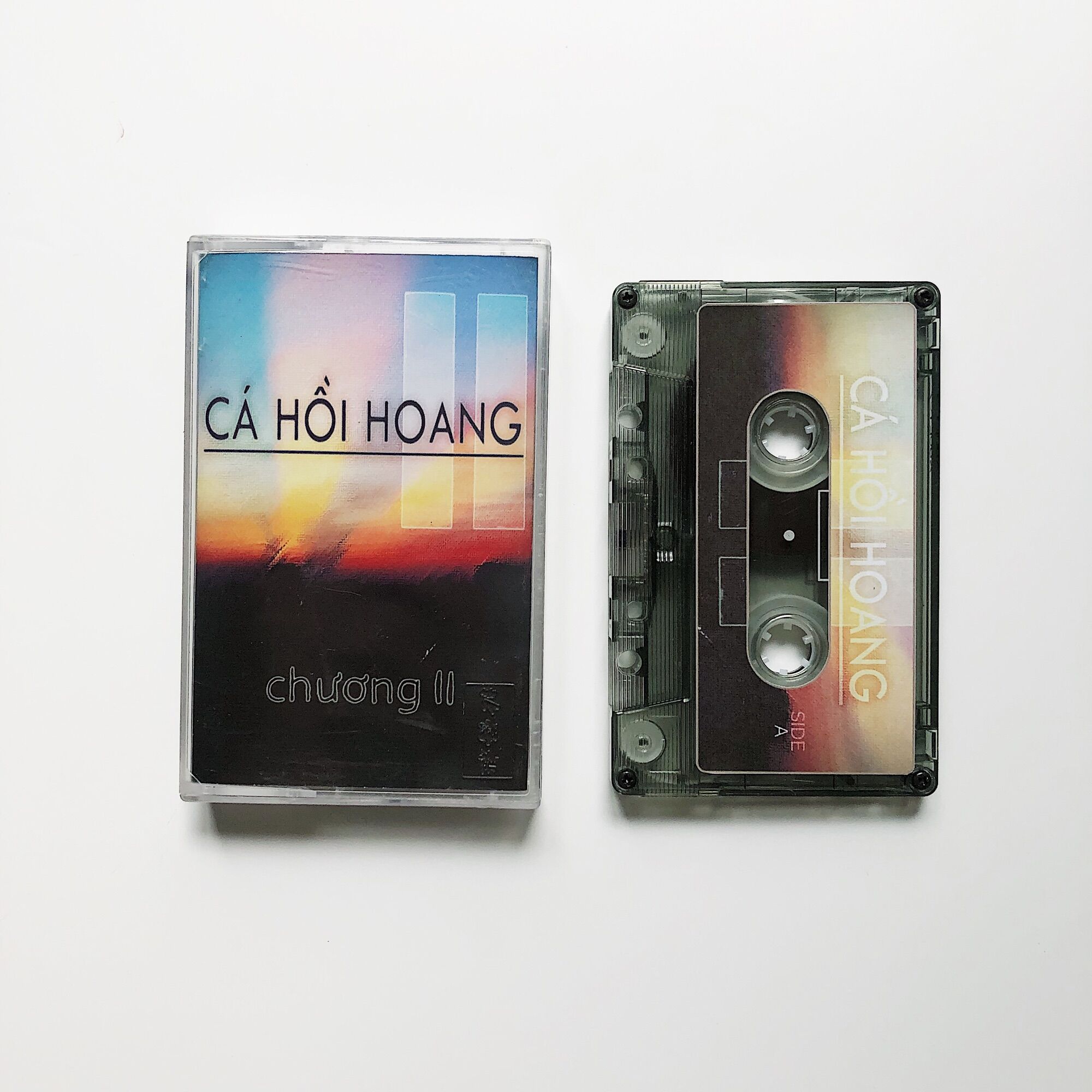 Băng cassette Chương 2 - Cá Hồi Hoang Màu (Custom Cassette Tape)