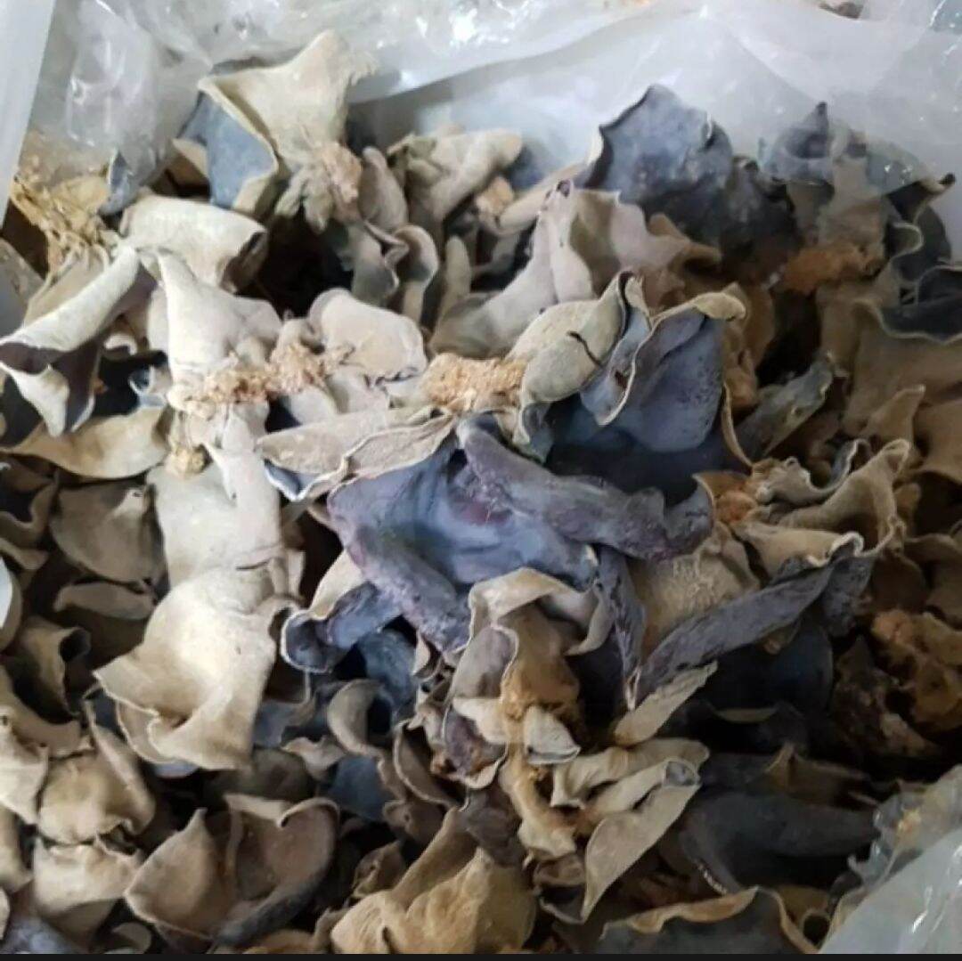 Nấm mèo mộc nhĩ khô ngon -100gram( nhiều lắm luôn ạ)