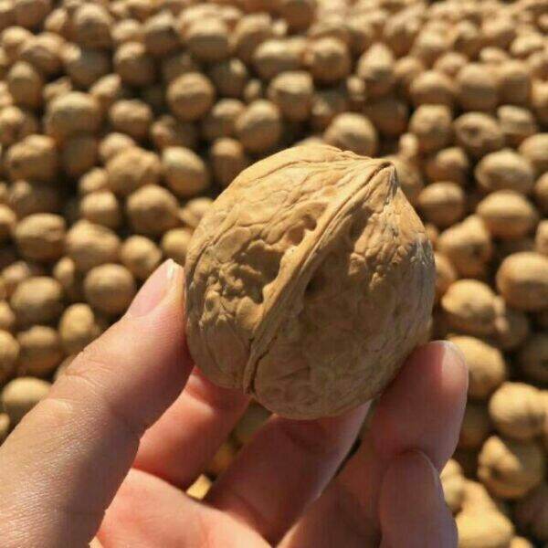 500g quả óc chó