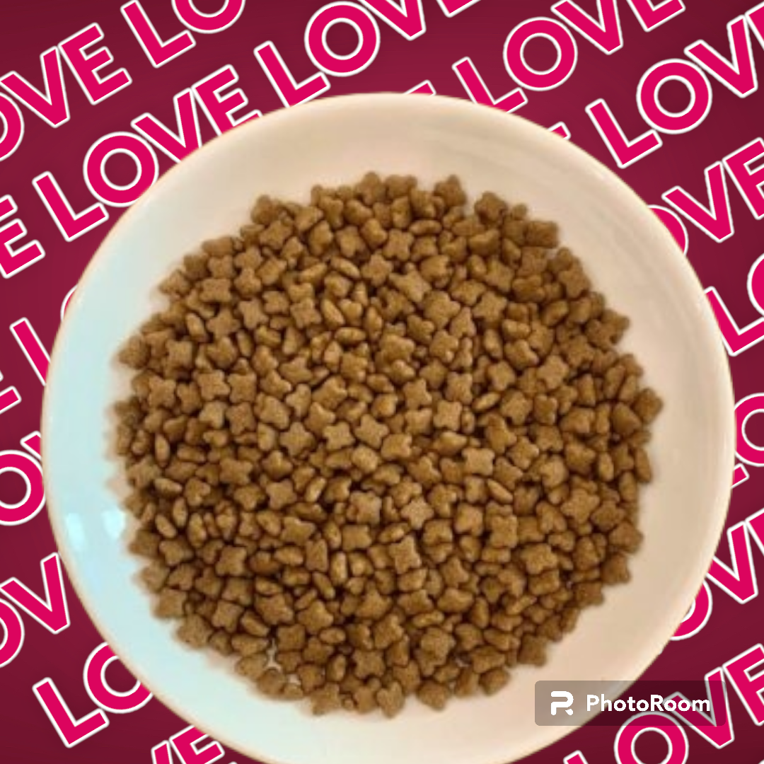 Thức Ăn Hạt Cho Mèo Con Catsrang Kitten Gói 1.5Kg
