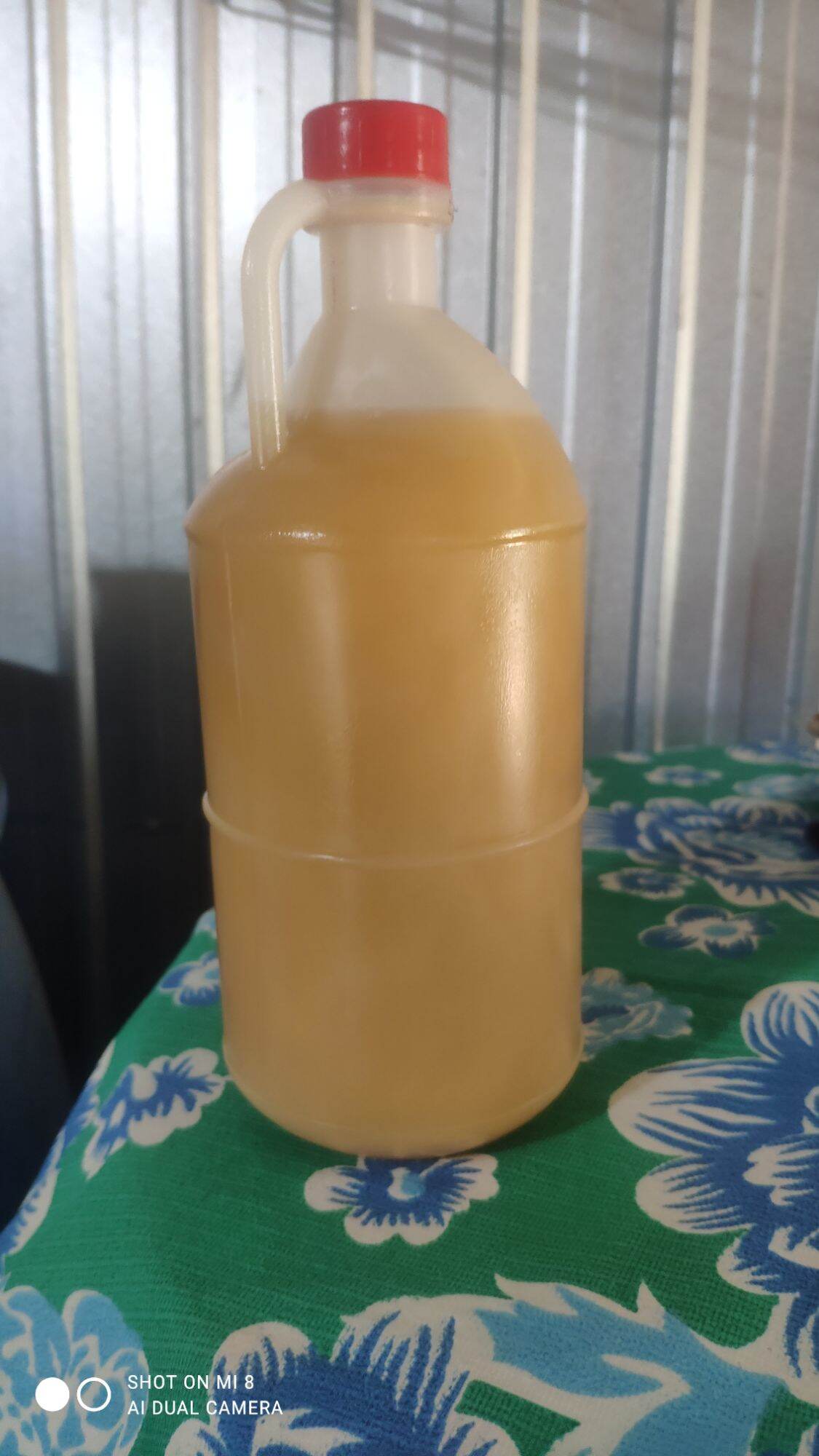 1 lít dầu cá làm mồi bẫy ếch, lươn, cá, chạch