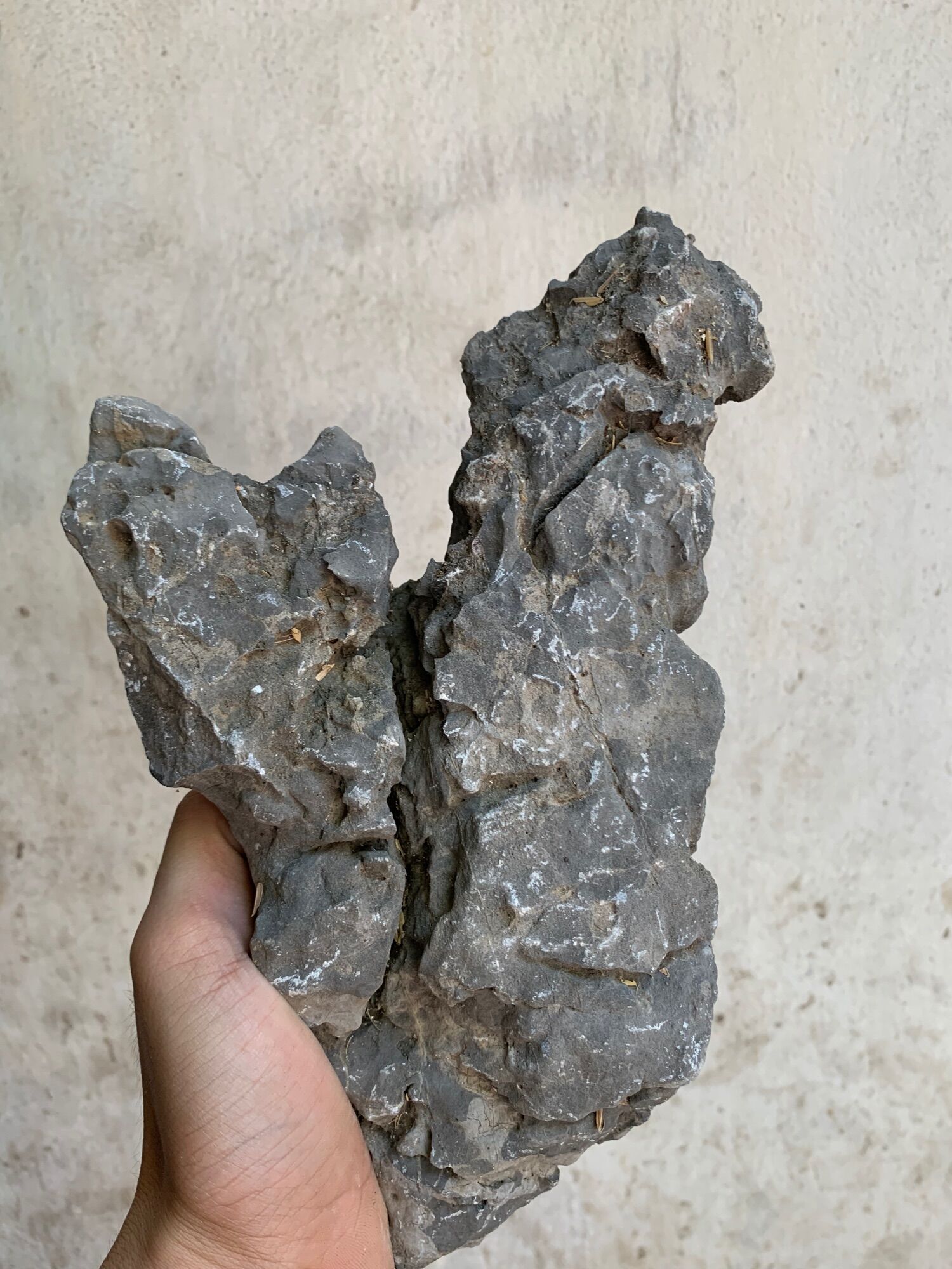 Đá kí cây cảnh bonsai