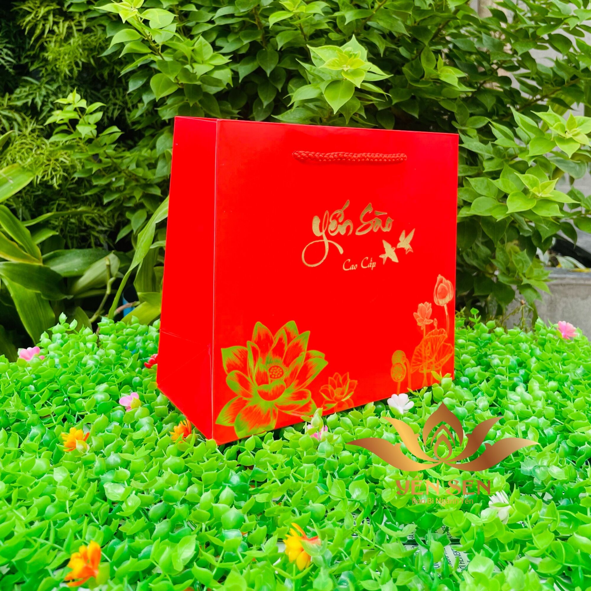 Túi Yến Sào size lớn 29 * 27 * 9