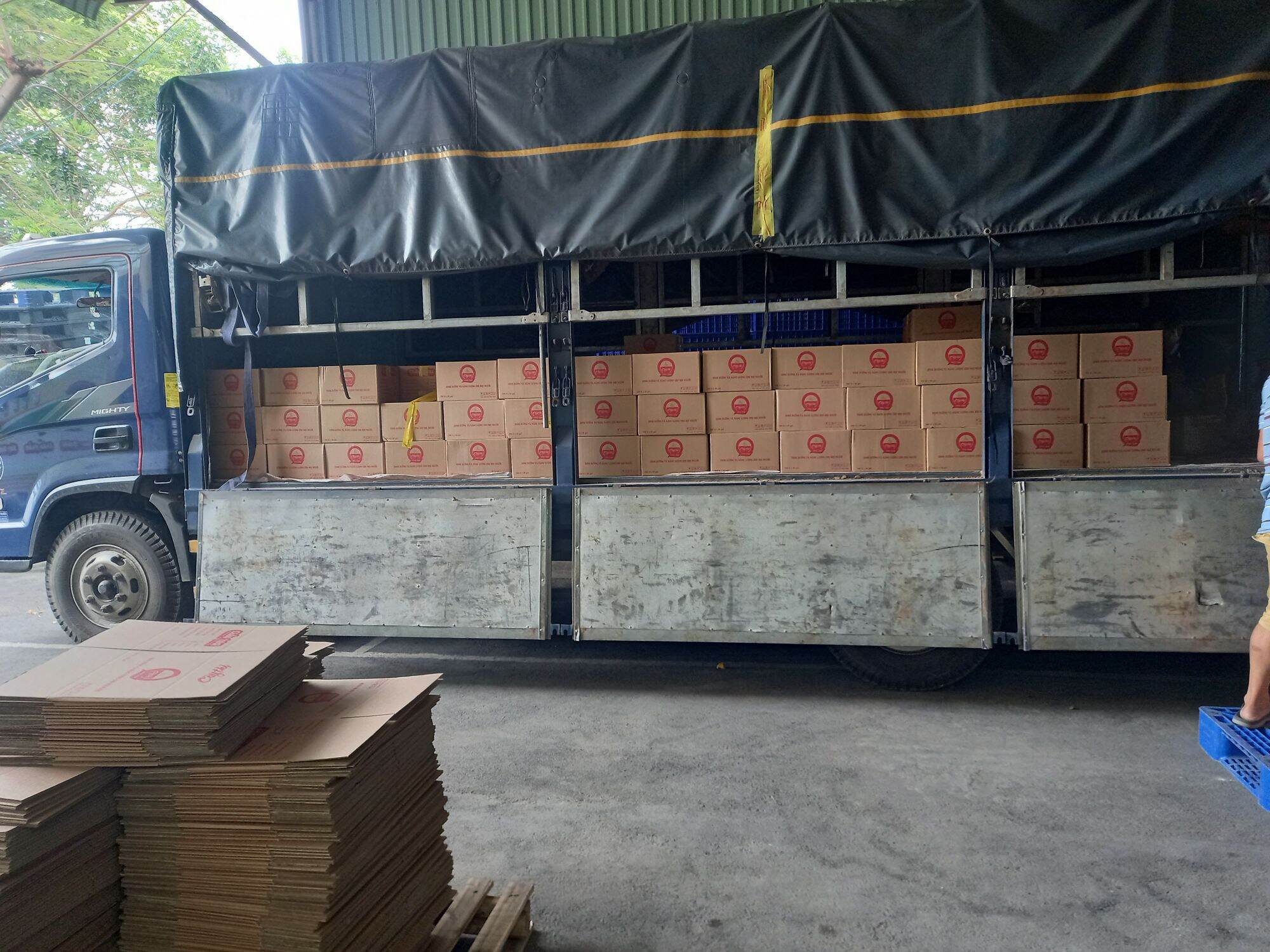 10 GÓI SÚP TƯƠI CÂY THỊ