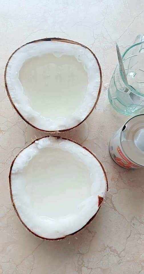 Dừa Sáp Đặc Sản Cầu Kè Trà Vinh Thơm Ngon ,Bổ Dưỡng ( trái hơn 1kí)💥 💥