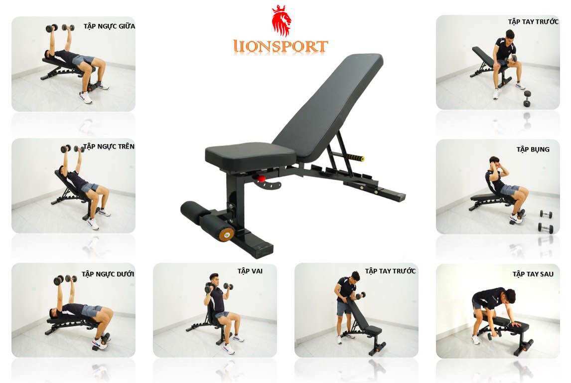 ghế tập tạ đa năng dd012 lionsport