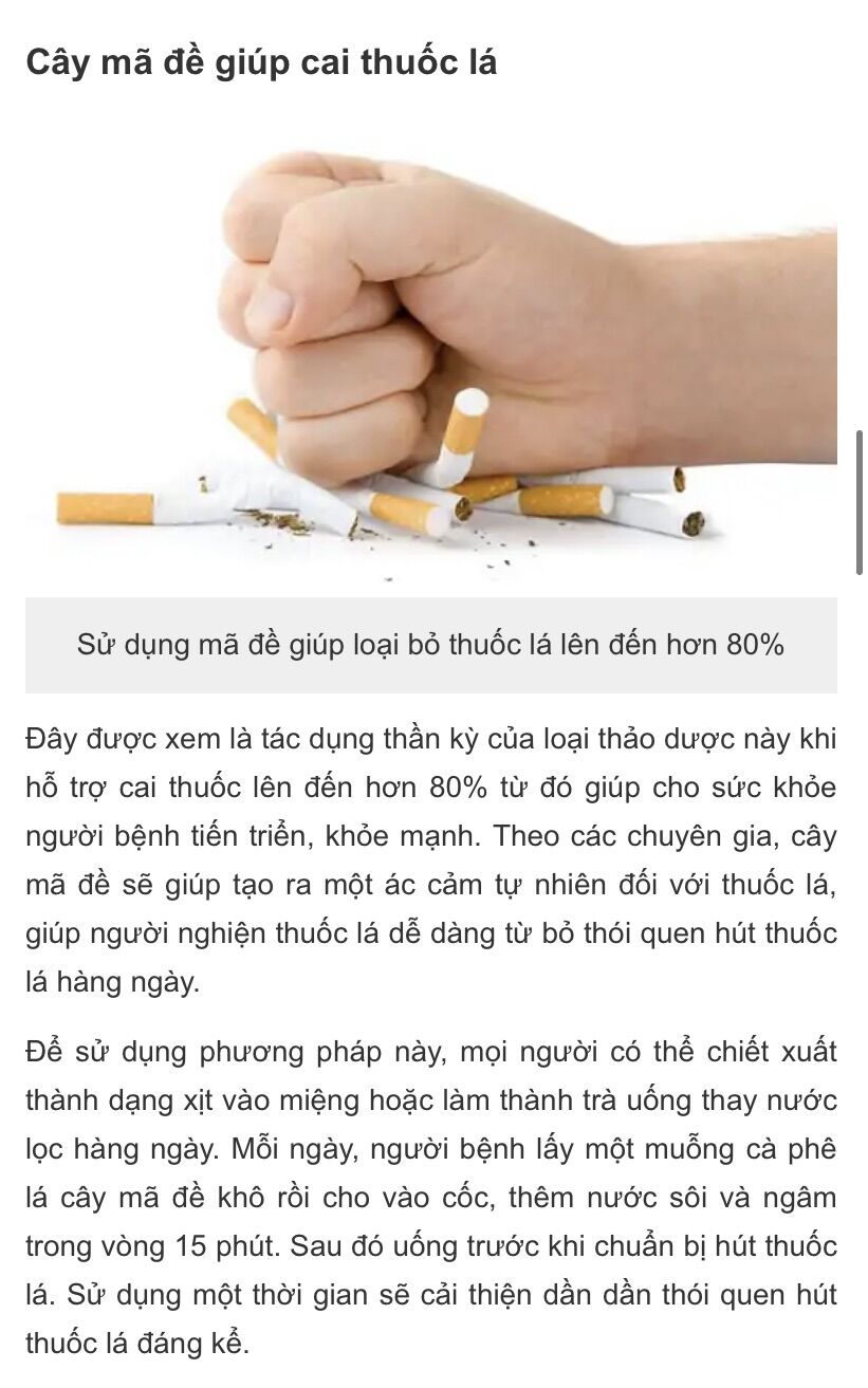 Hạt giống cây má đề