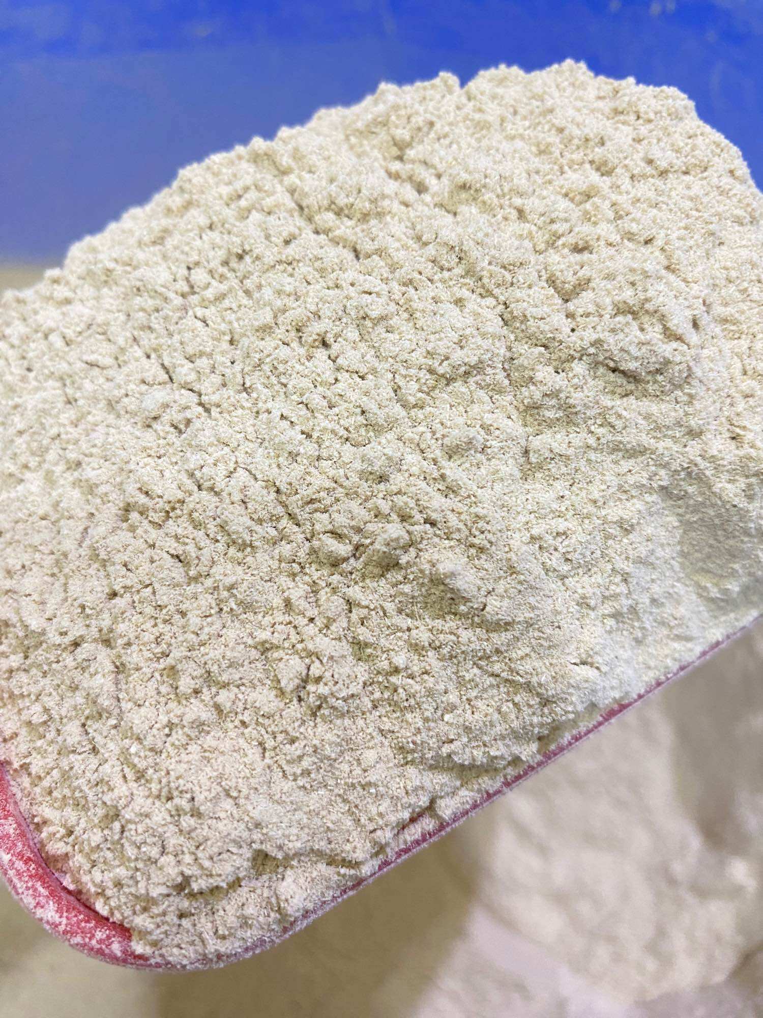 500gr Bột Sả nguyên chất 100%