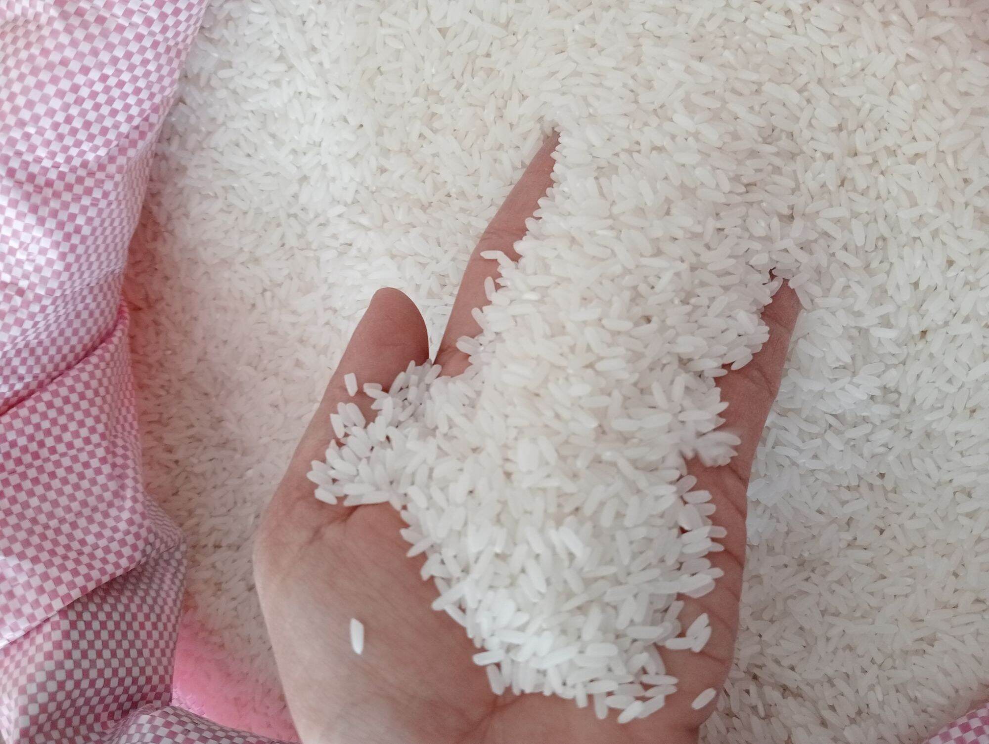 Tám xoan hải hậu_5kg