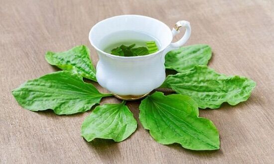 Hạt giống cây má đề