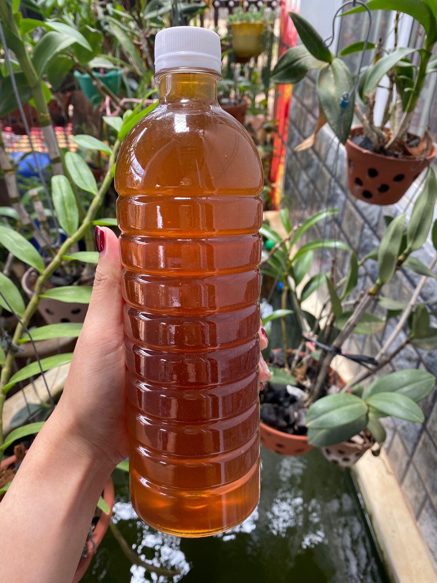 1 lít mật ong nguyên chất hoa cà phê daklak