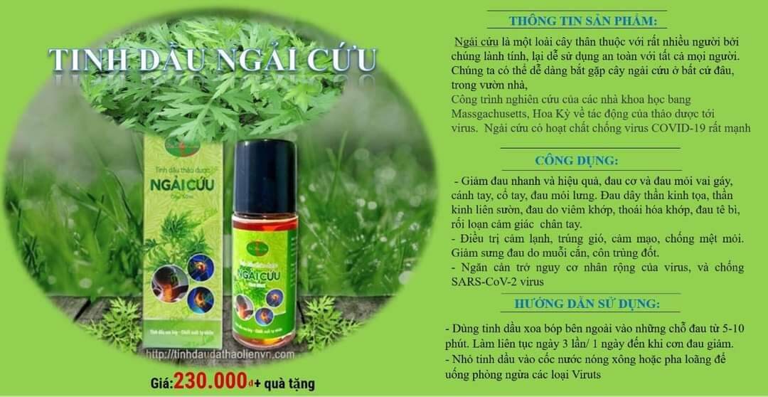 Tinh Dầu Ngải Cứu_ Tặng Kèm Con Lăn Massa_Hỗ Trợ Đau Nhức Xương Khớp Hiệu Quả Nhanh