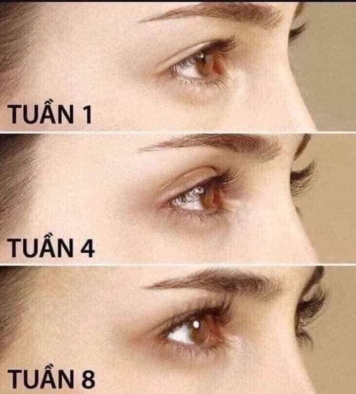 Dưỡng dài mi Malava 15ml