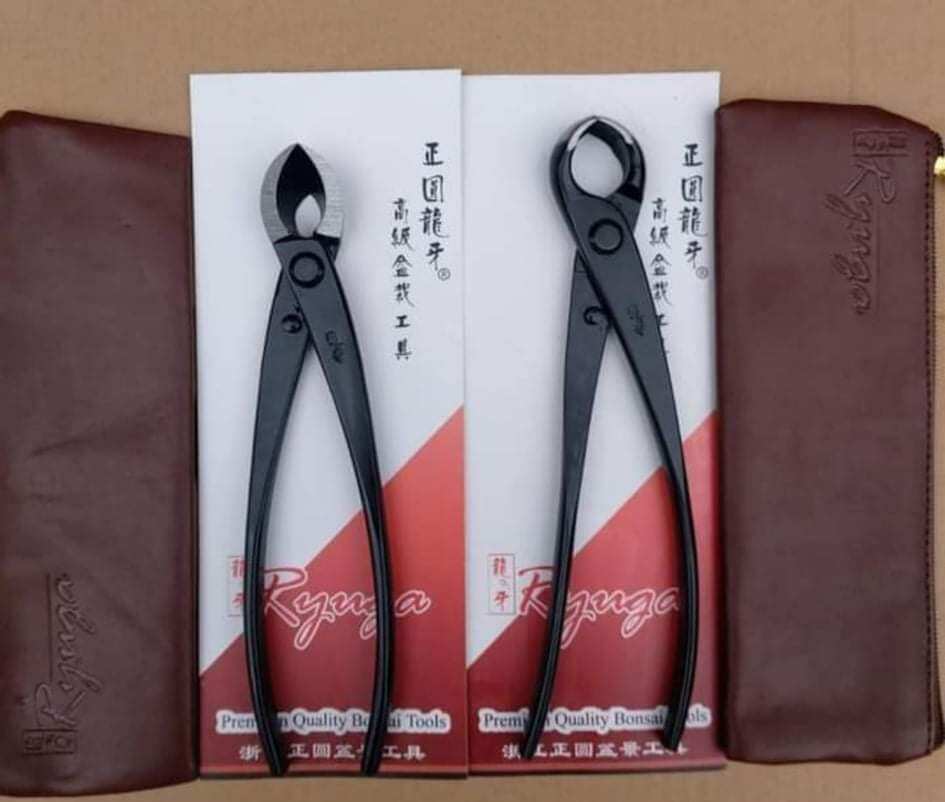 Cạp Ryuga xéo tròn thép đen kèm bao da