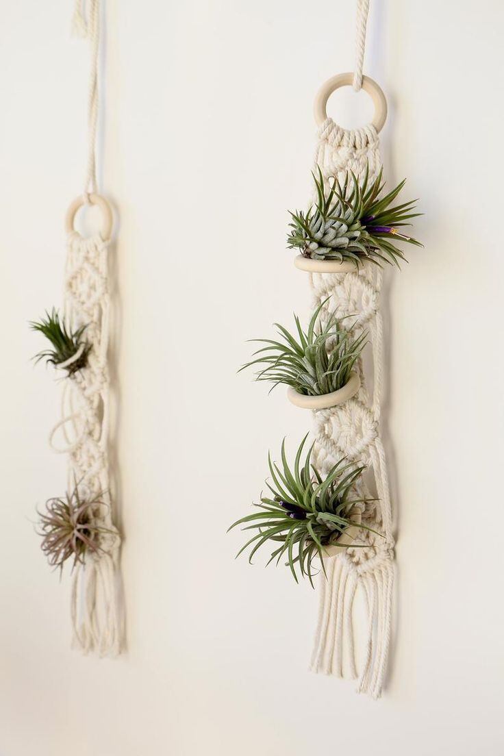 Dây tết macrame handmade treo cây không khí trang trí tường