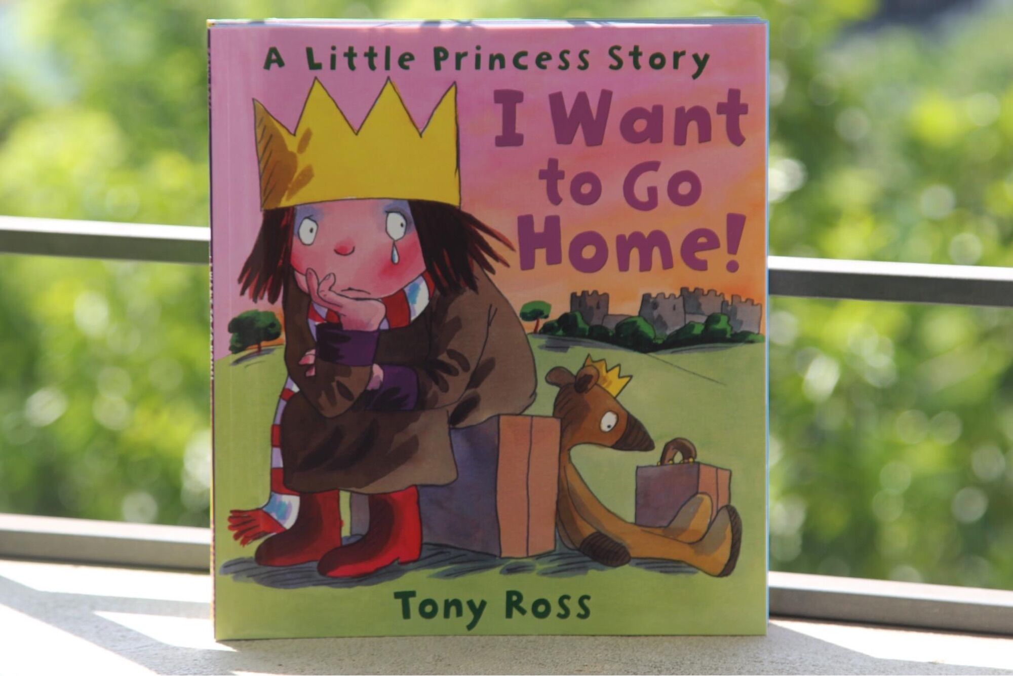 A Little Princess story - 10q