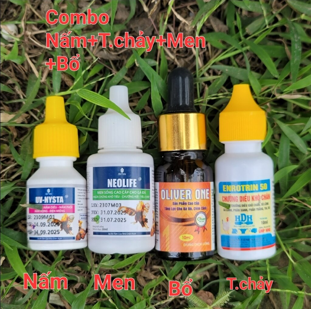 Combo 4 món nysta, enrotril50, neolife, oliver one n.ấm ghép tiêu chay, chướng diều khô chân xã cánh có bổ sung vitamin, men tiêu hoá dùng cho gà đá