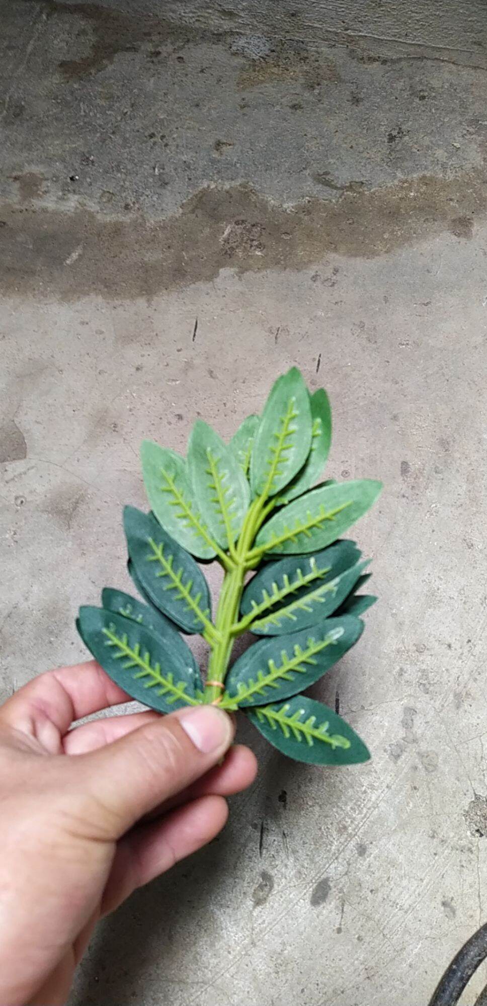 Lá Bồ Công Anh loại 1