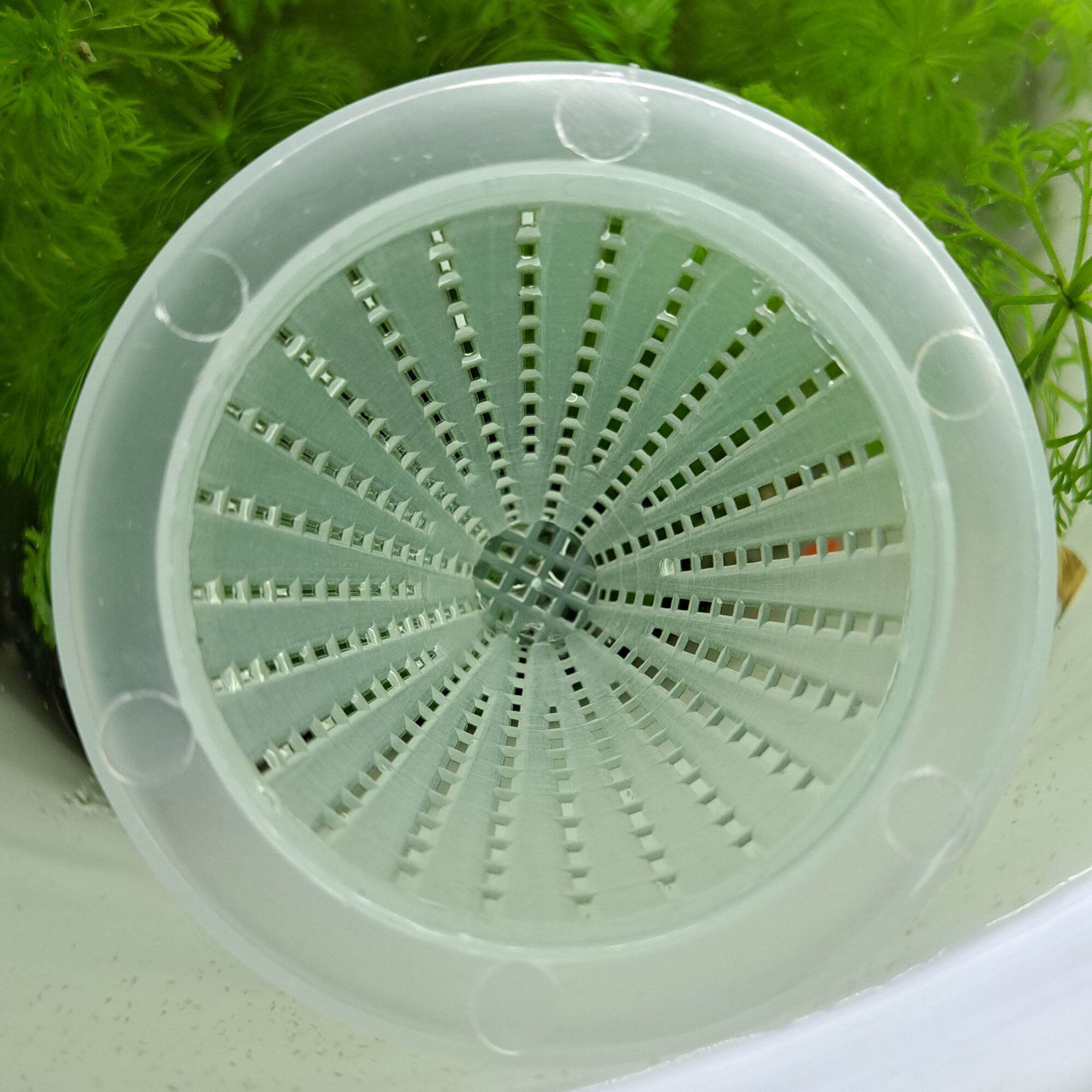 Rổ đựng trùn chỉ - ts aqua