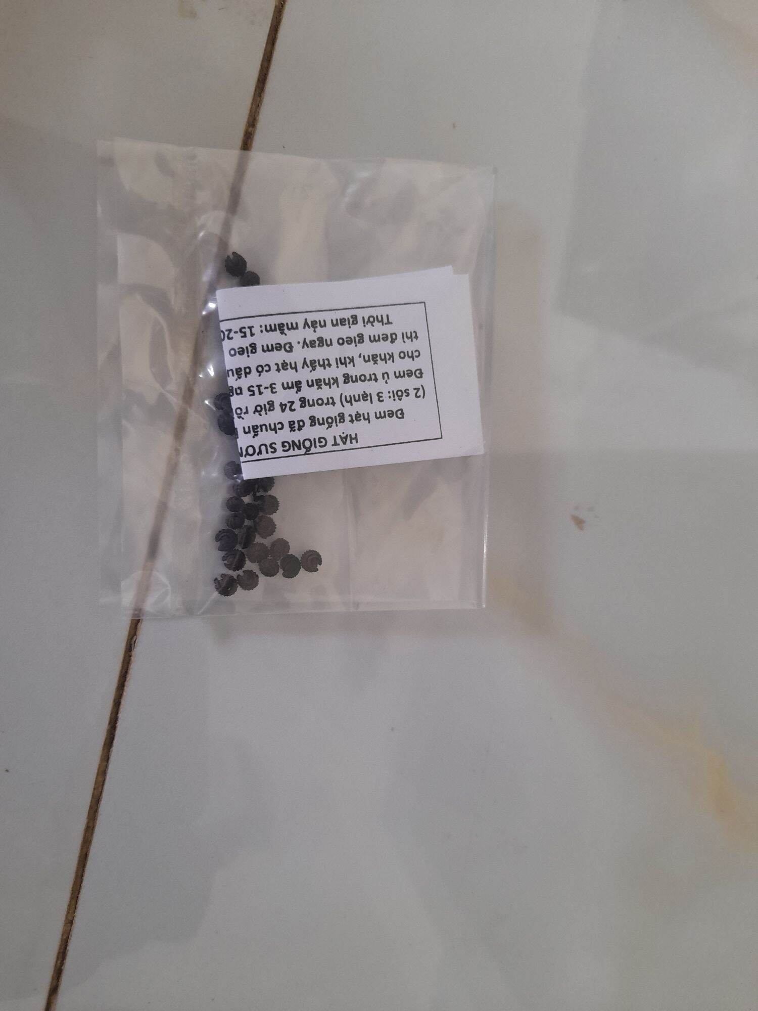 hạt giống sương sâm lông rừng  2 gói  30 hạt