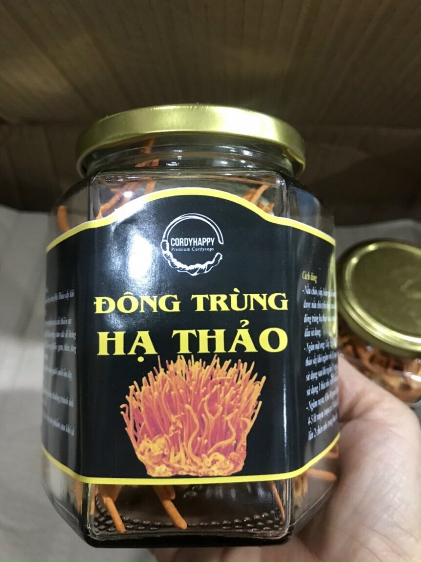 Đông trùng hạ thảo khô hộp 50gr thượng hạng