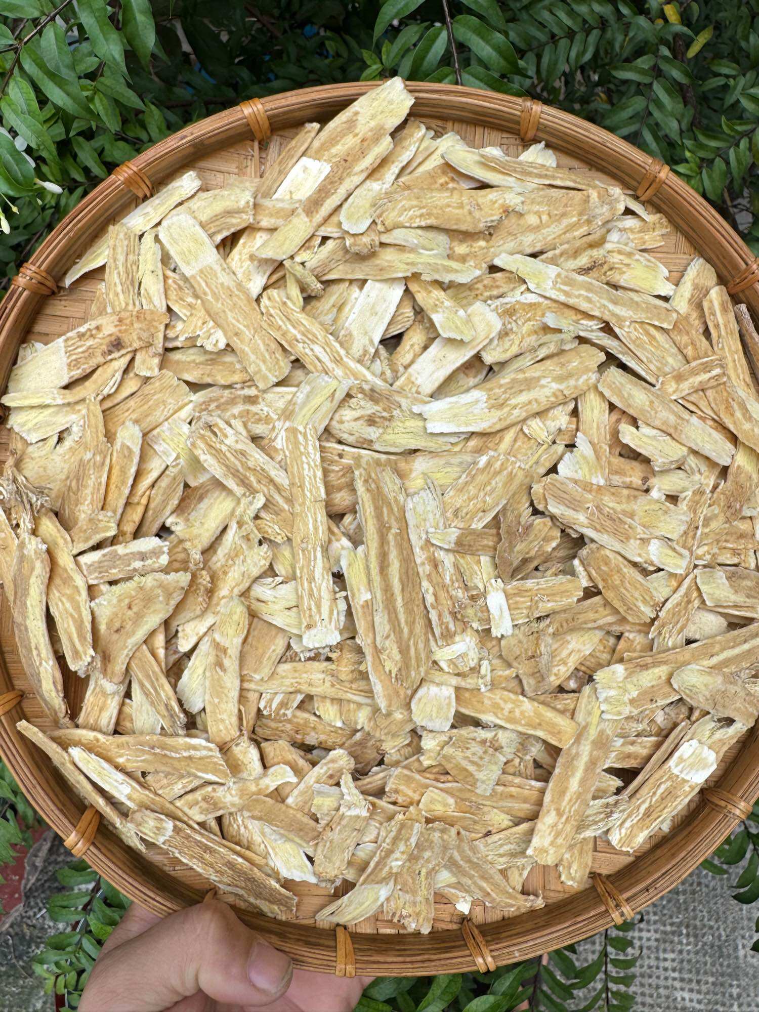 [HCM] Hoàng Kỳ -Bắc Kỳ hữu cơ thái lát -100gram