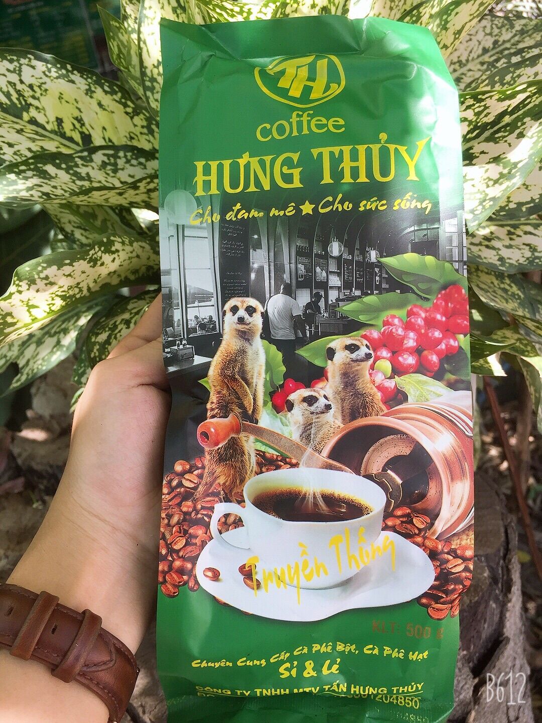 CÀ PHÊ PHA PHIN TRUYỀN THỐNG CHỒN XANH 500G (Khuyến mãi mùa dịch mua 2kg tặng 1 bịch cùng loại)